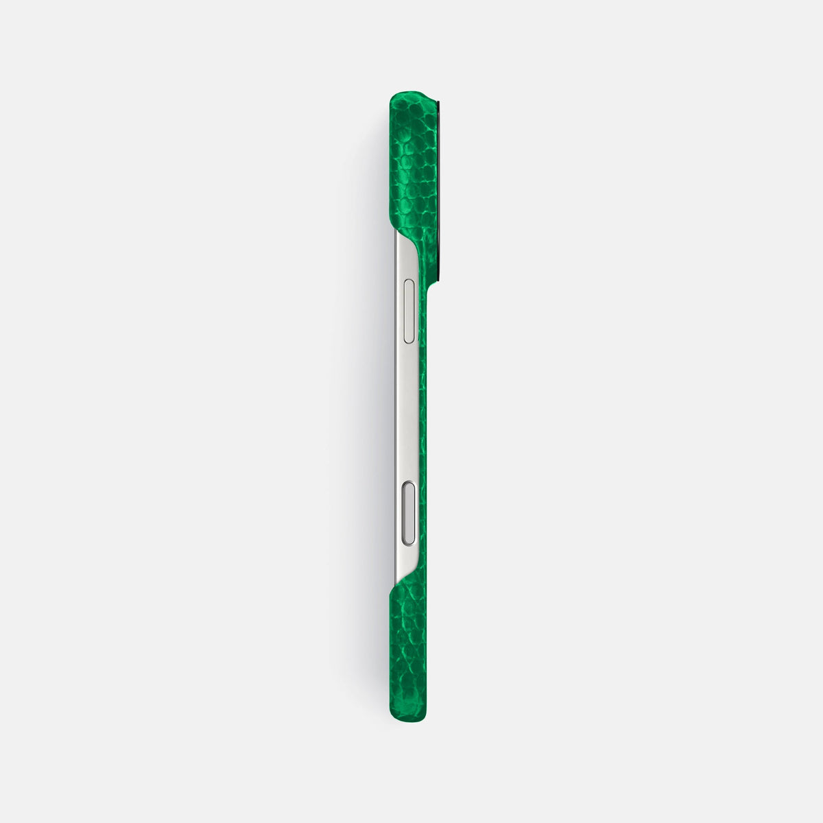 Classic Case For iPhone 18 Pro Max In Lizard -3 | Apple-Green-Black