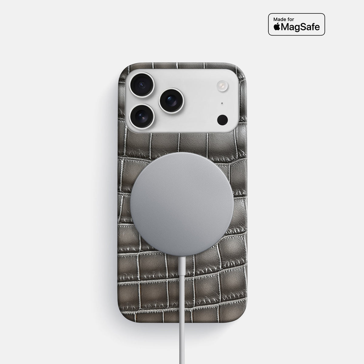 Slim Case For iPhone 18 Pro In Patina Alligator -5 | Grey