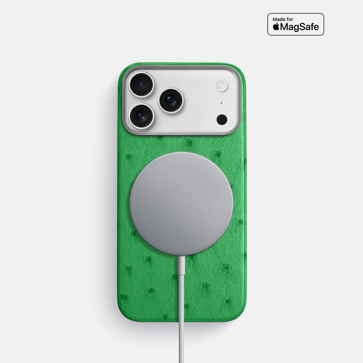 Classic Case For iPhone 17 Pro In Ostrich -5 | Kentucky-Green-Steel
