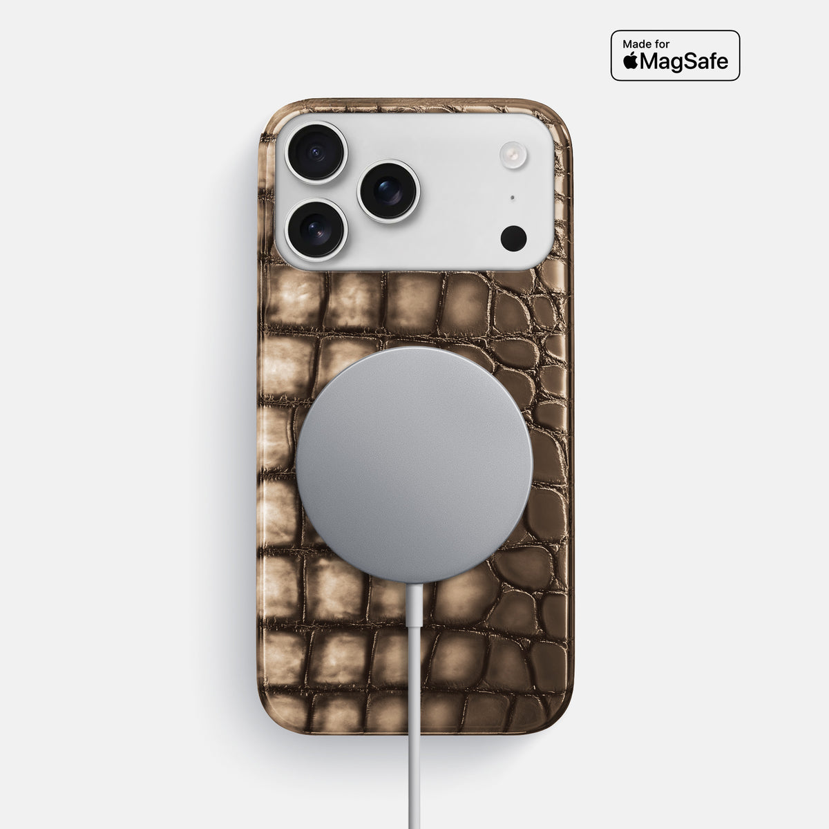 Slim Case For iPhone 17 Pro Max In Patina Alligator -5 | Etoupe