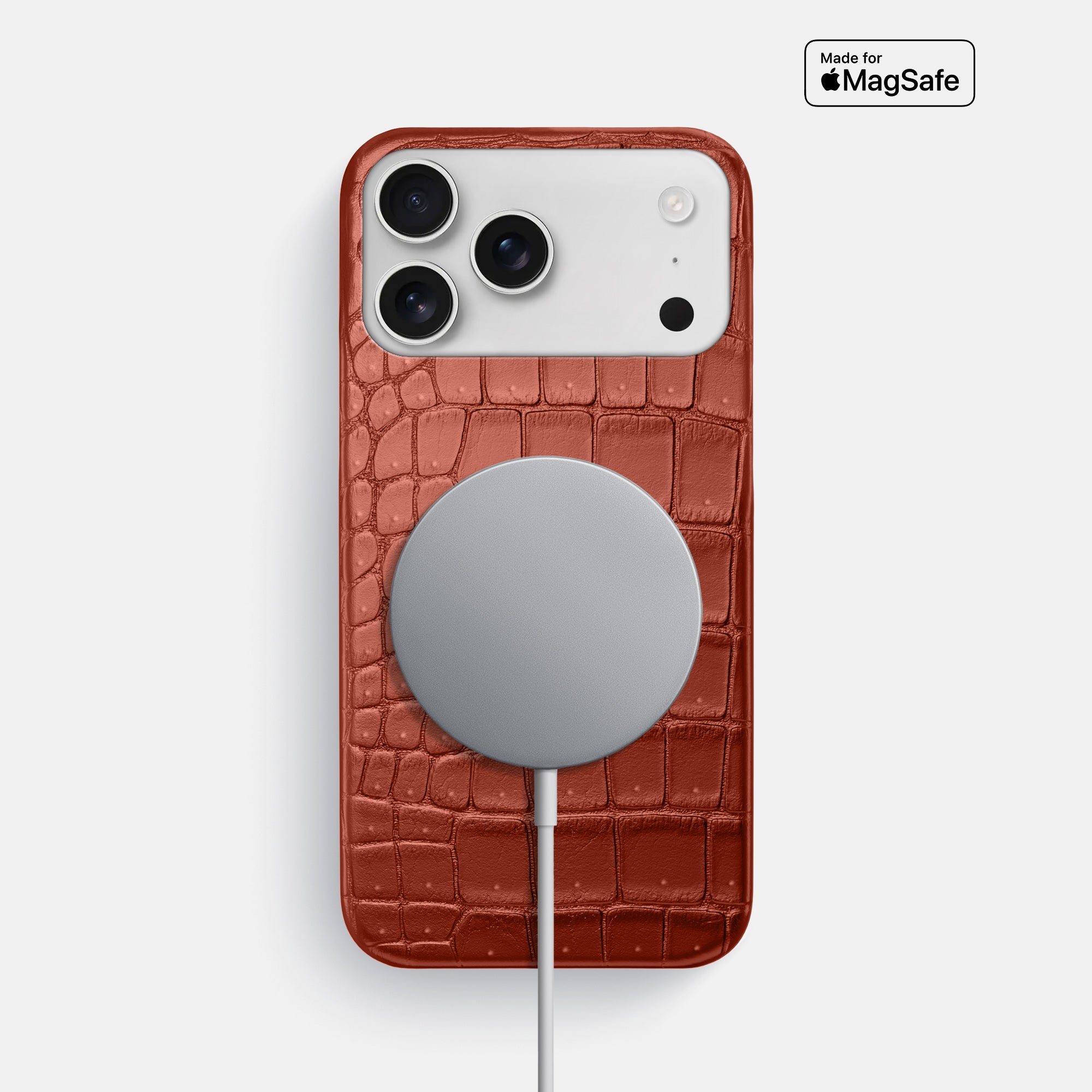 Slim Case For iPhone 17 Pro Max In Porosus Crocodile · Labodet