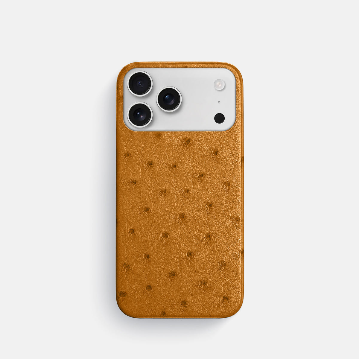 Slim Case For iPhone 17 Pro In Ostrich -1 | Chestnut
