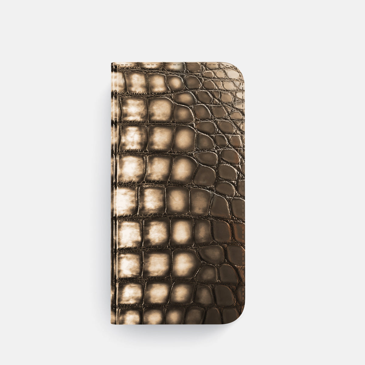 Folio Case For iPhone 18 Pro In Patina Alligator -4 | Etoupe-Steel