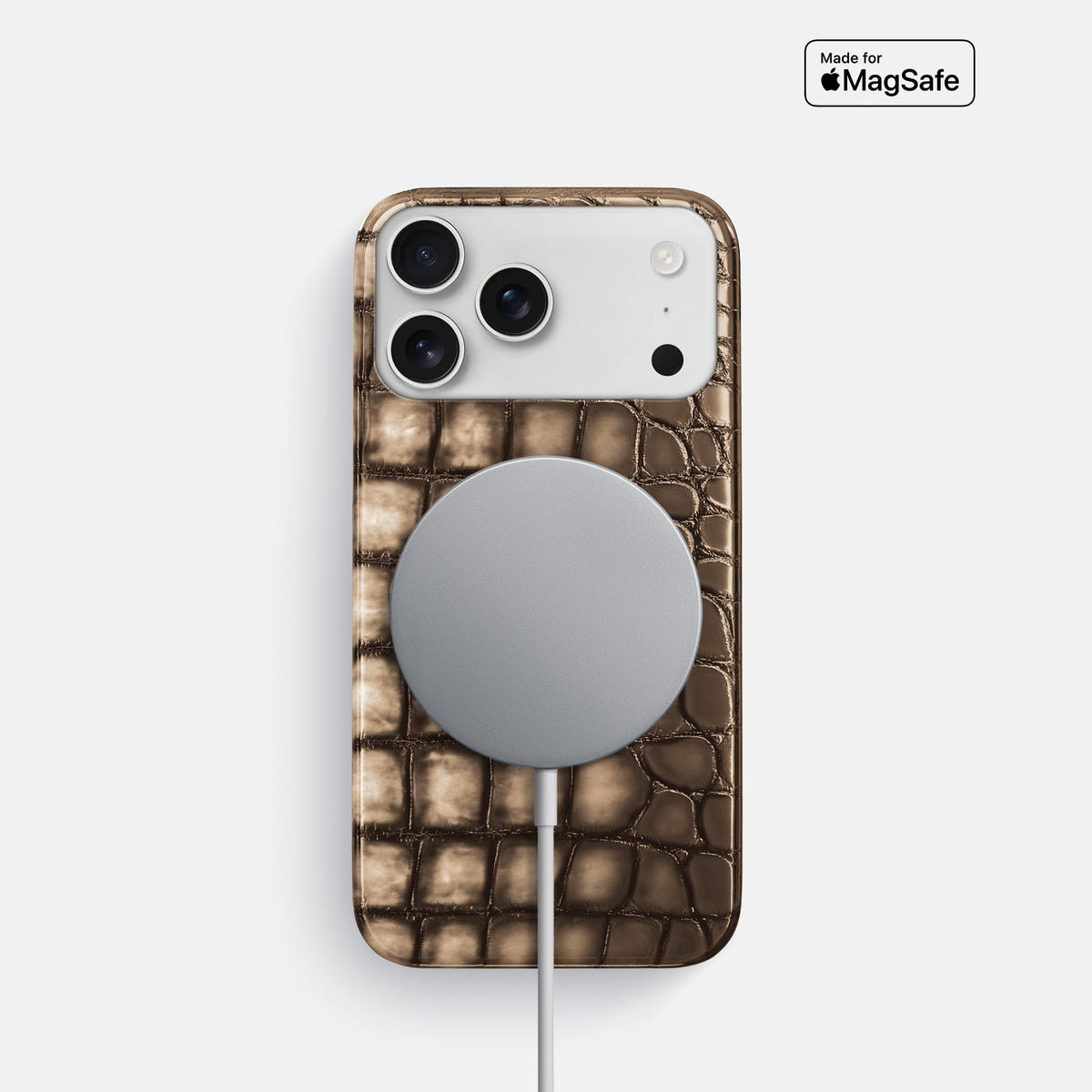 Slim Case For iPhone 18 Pro In Patina Alligator -5 | Etoupe