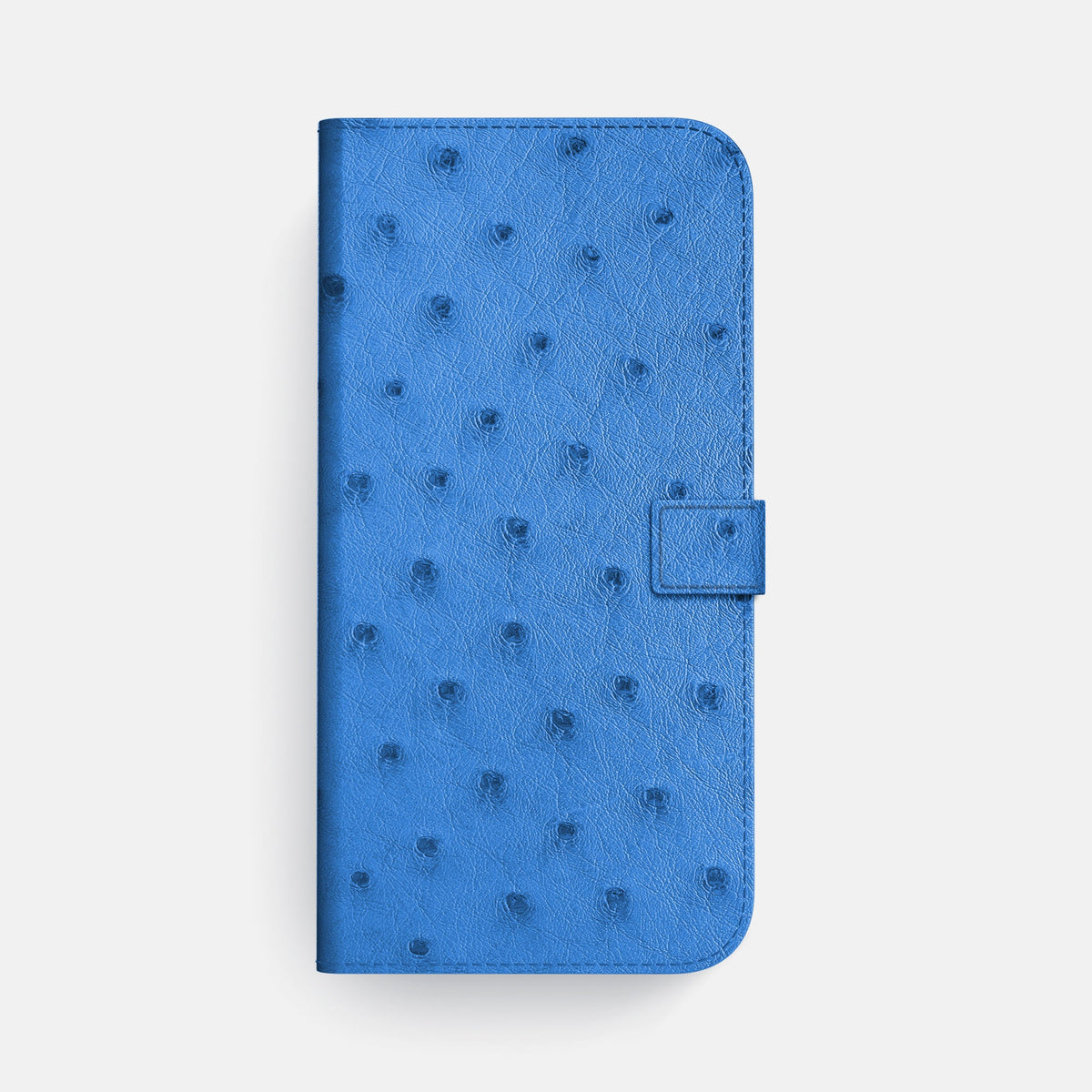 Folio Case with Clasp For iPhone 18 Pro Max In Ostrich -4 | Royal-Blue-Steel