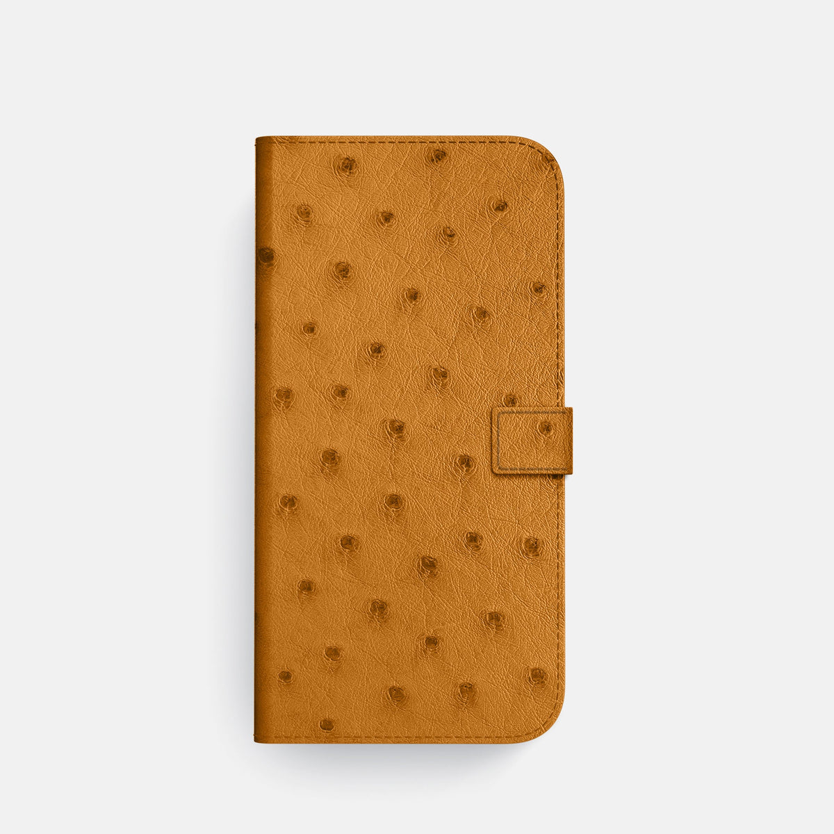 Folio Case with Clasp For iPhone 18 Pro In Ostrich -4 | Chestnut-Black