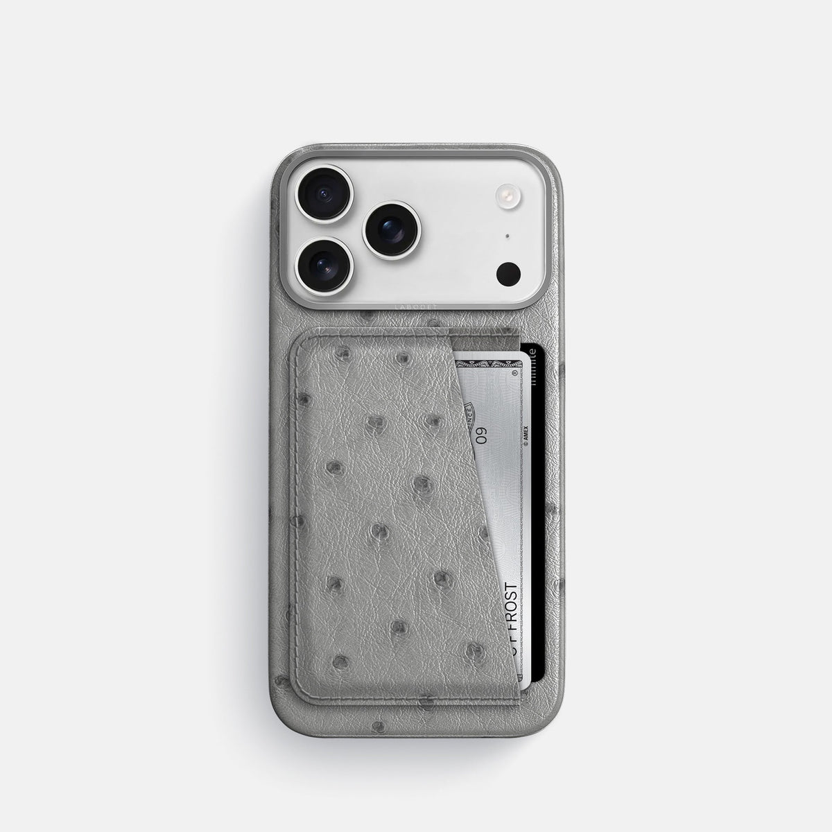 Double Card Case For iPhone 18 Pro In Ostrich -1 | Silver-Steel