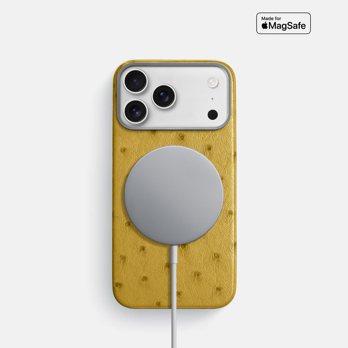 Classic Case For iPhone 18 Pro In Ostrich -5 | Gold-Steel