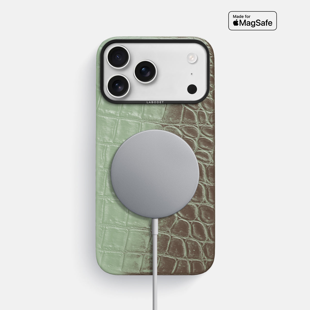 Classic Case For iPhone 17 Pro Max In Himalayan Crocodile -4 | Pistachio-Black