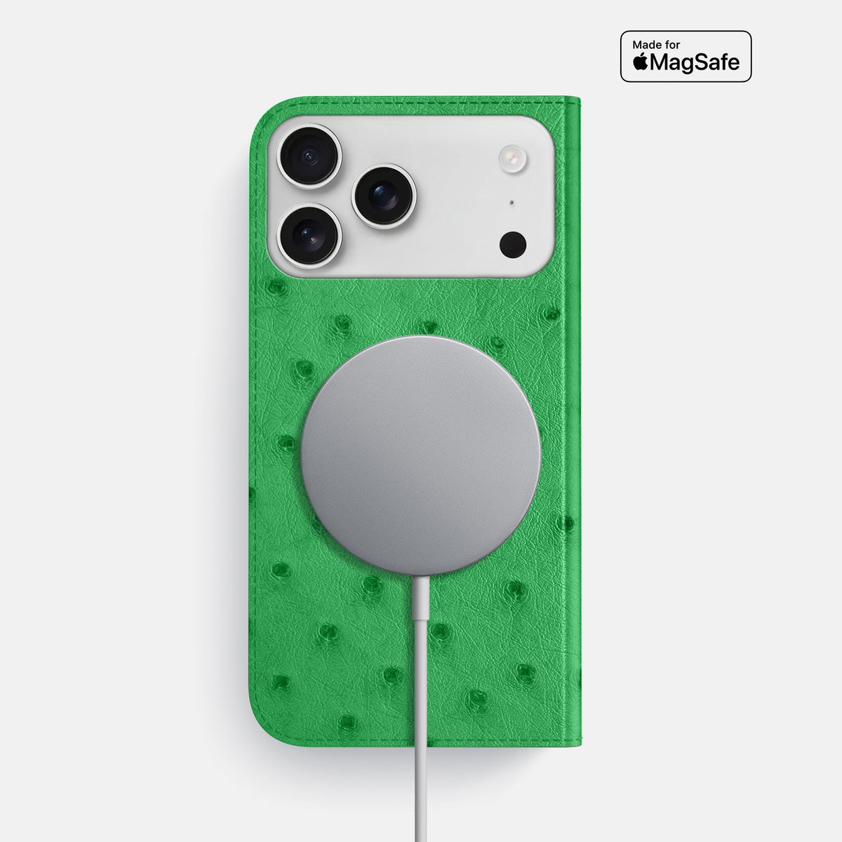 Folio Slim Case For iPhone 18 Pro Max In Ostrich -3 | Kentucky-Green