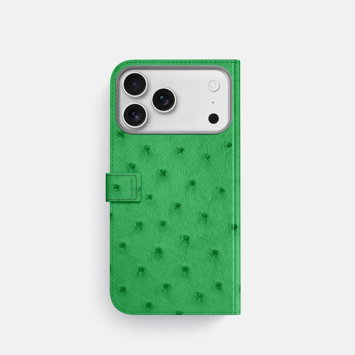 Folio Case with Clasp For iPhone 18 Pro In Ostrich -3 | Kentucky-Green-Steel