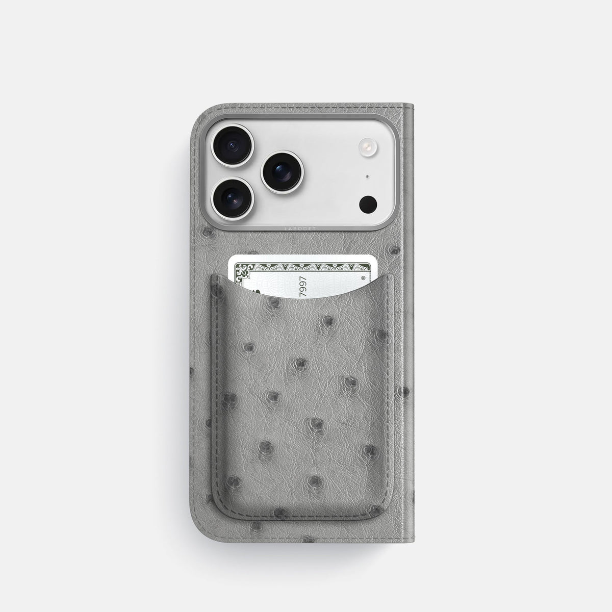 Folio Case with Card For iPhone 18 Pro In Ostrich -3 | Silver-Steel