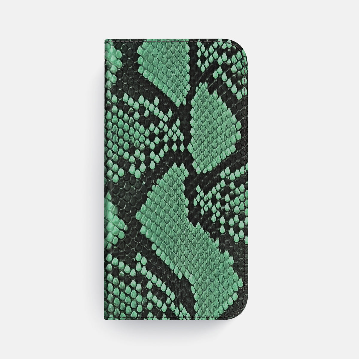 Folio Case For iPhone 17 Air In Deluxe Python -4 | Forest-Green-Steel