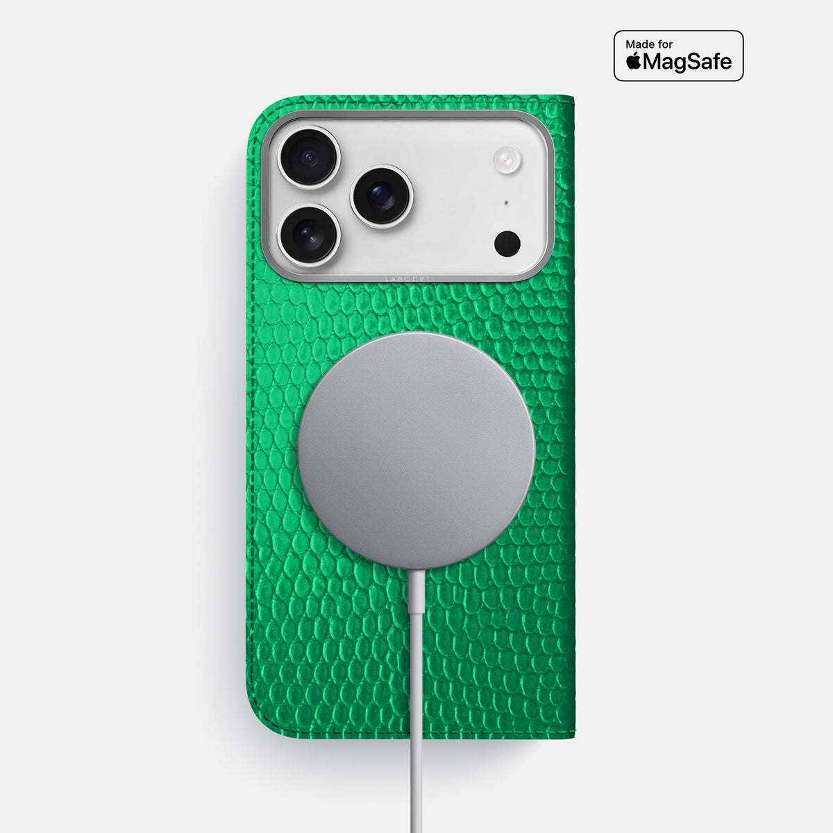 Folio Case For iPhone 18 Pro Max In Lizard -3 | Apple-Green-Steel