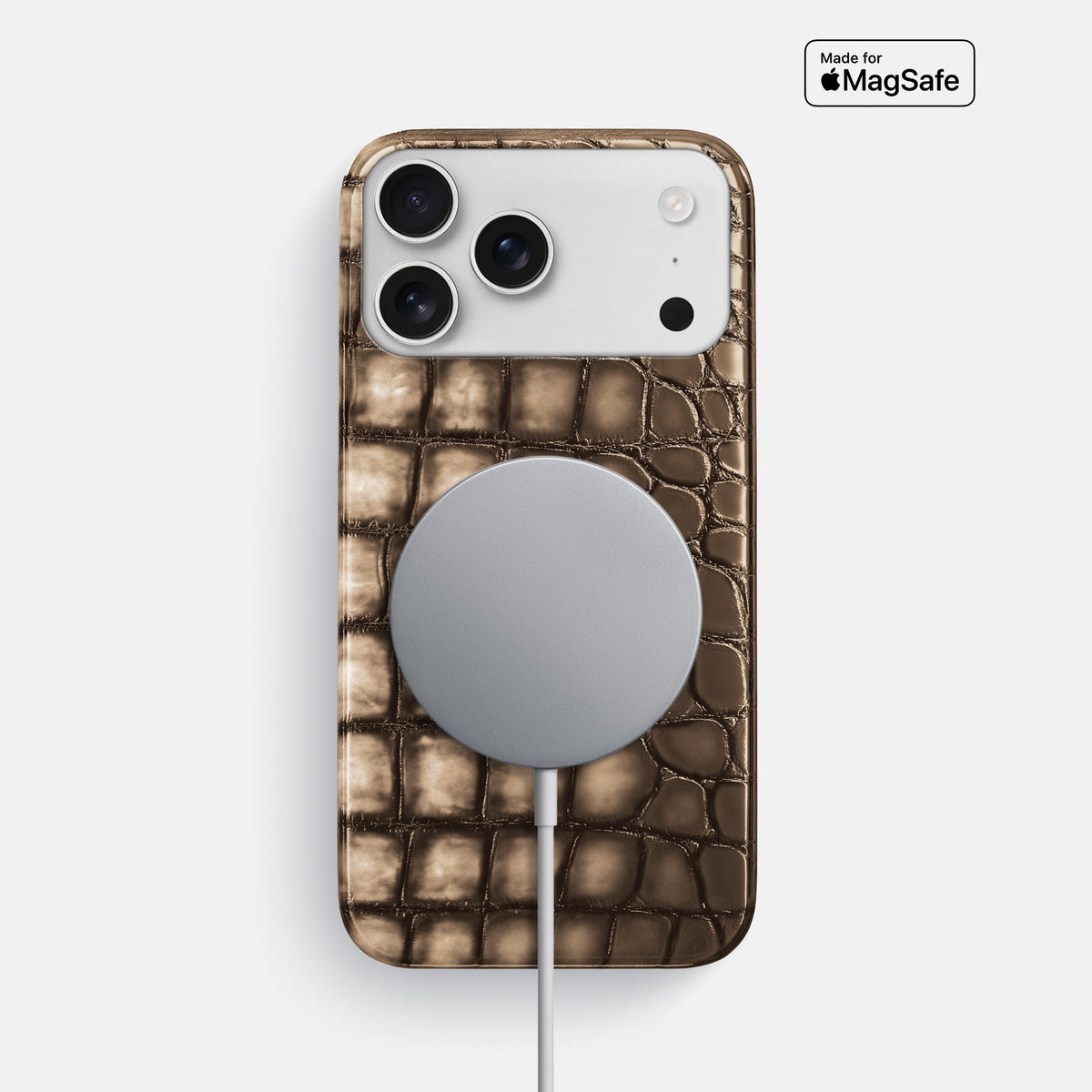 Slim Case For iPhone 18 Pro Max In Patina Alligator -5 | Etoupe