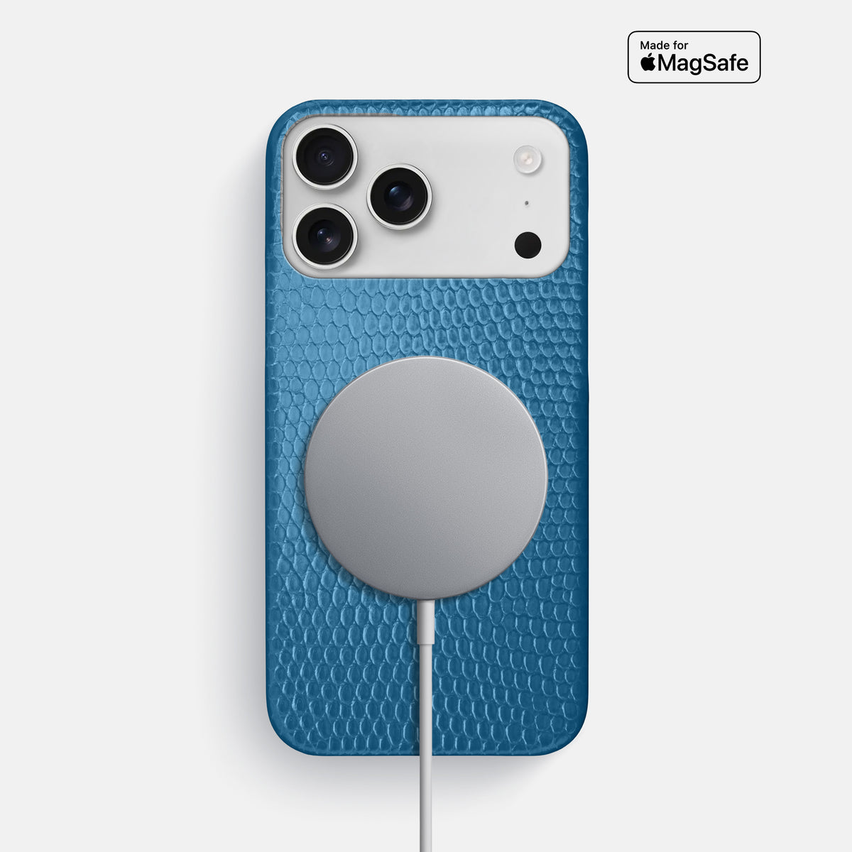 Slim Case For iPhone 17 Pro Max In Lizard -5 | Blue