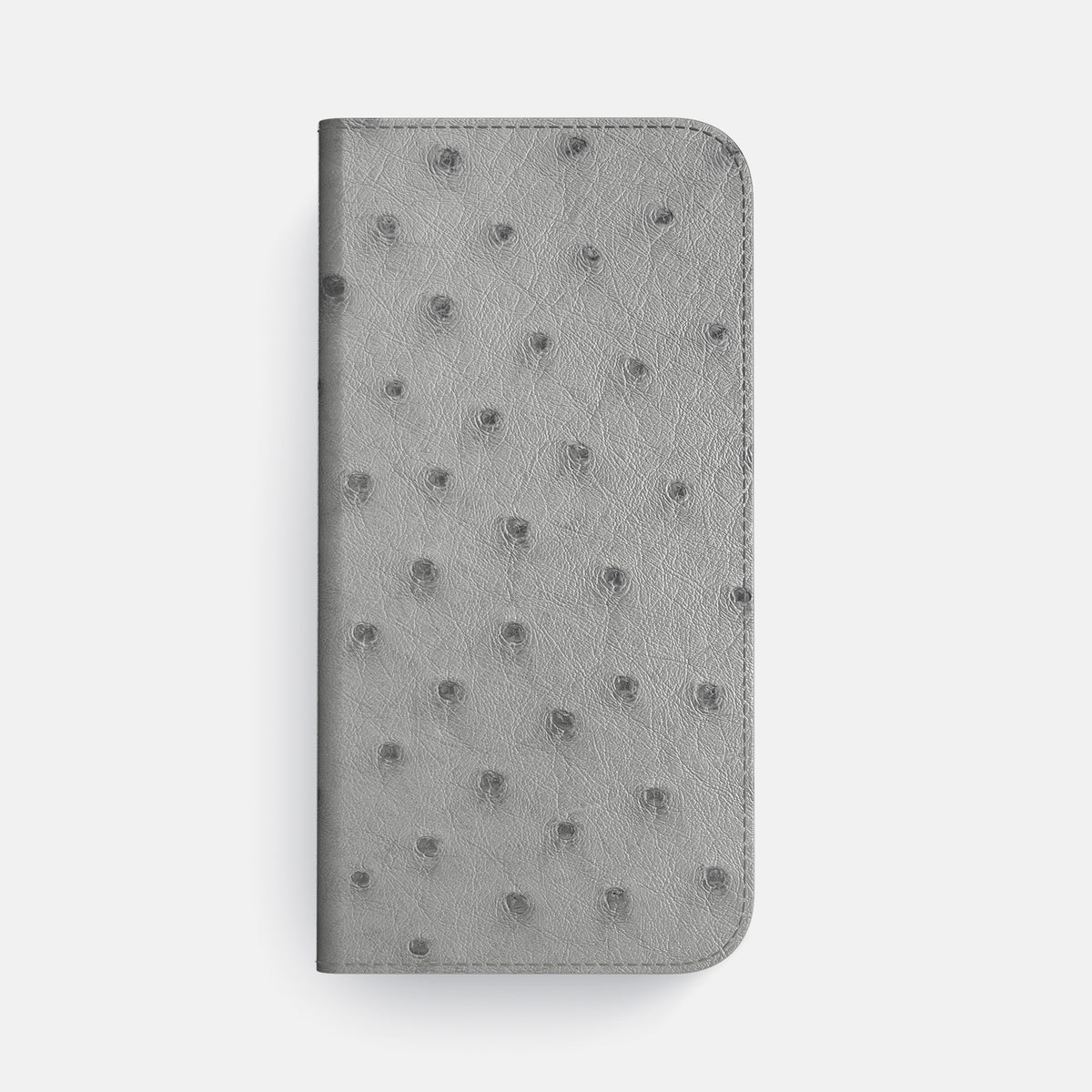 Folio Case For iPhone 17 Air In Ostrich -4 | Silver-Steel