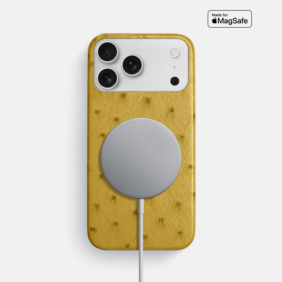 Slim Case For iPhone 17 Pro Max In Ostrich -5 | Gold
