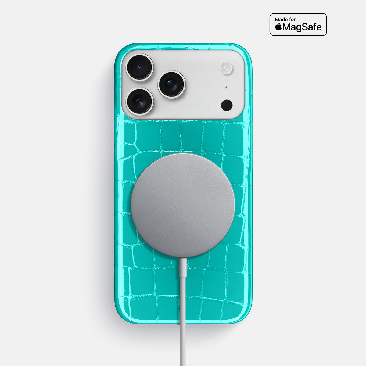 Slim Case For iPhone 17 Pro Max In Shiny Alligator -5 | Mint
