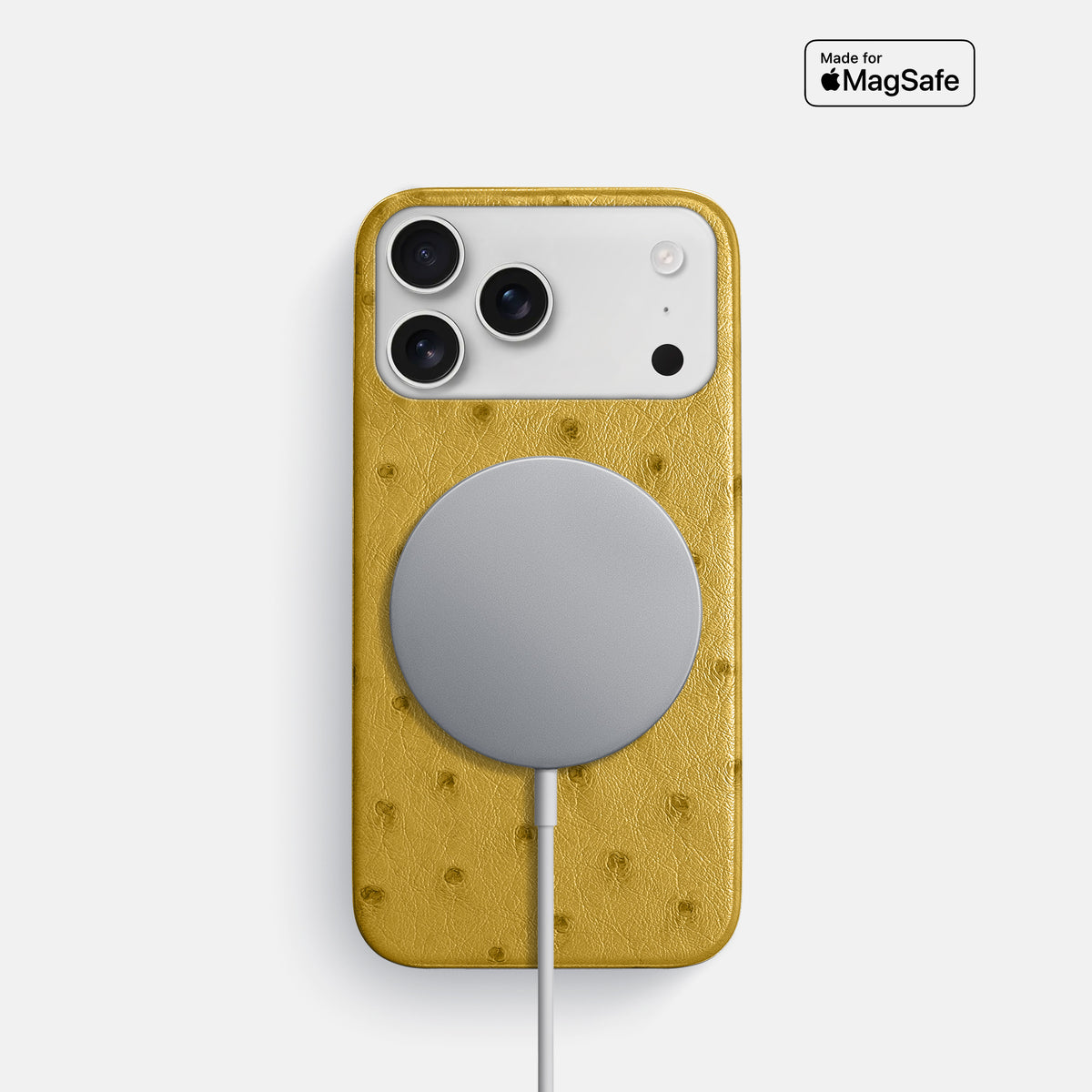 Slim Case For iPhone 17 Pro In Ostrich -5 | Gold