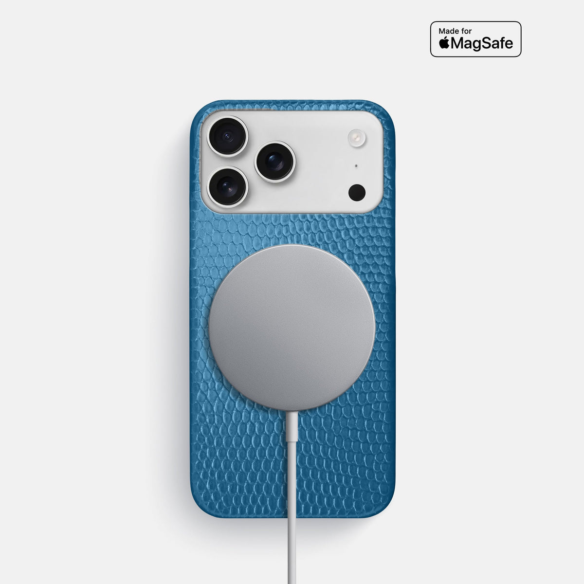 Slim Case For iPhone 18 Pro In Lizard -5 | Blue