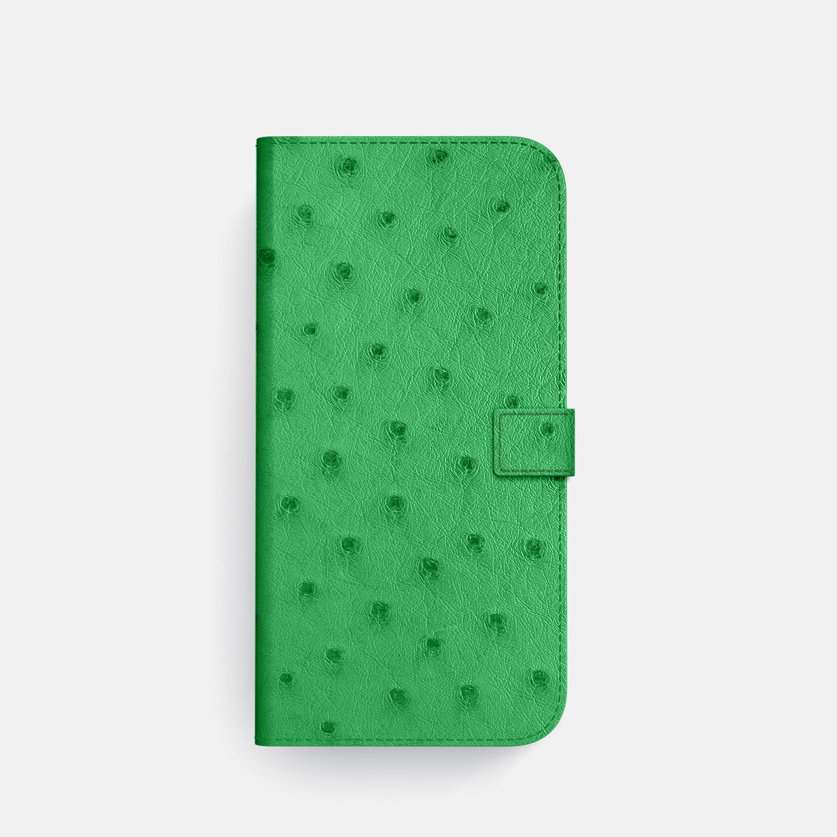 Folio Case with Clasp For iPhone 18 Pro In Ostrich -4 | Kentucky-Green-Steel