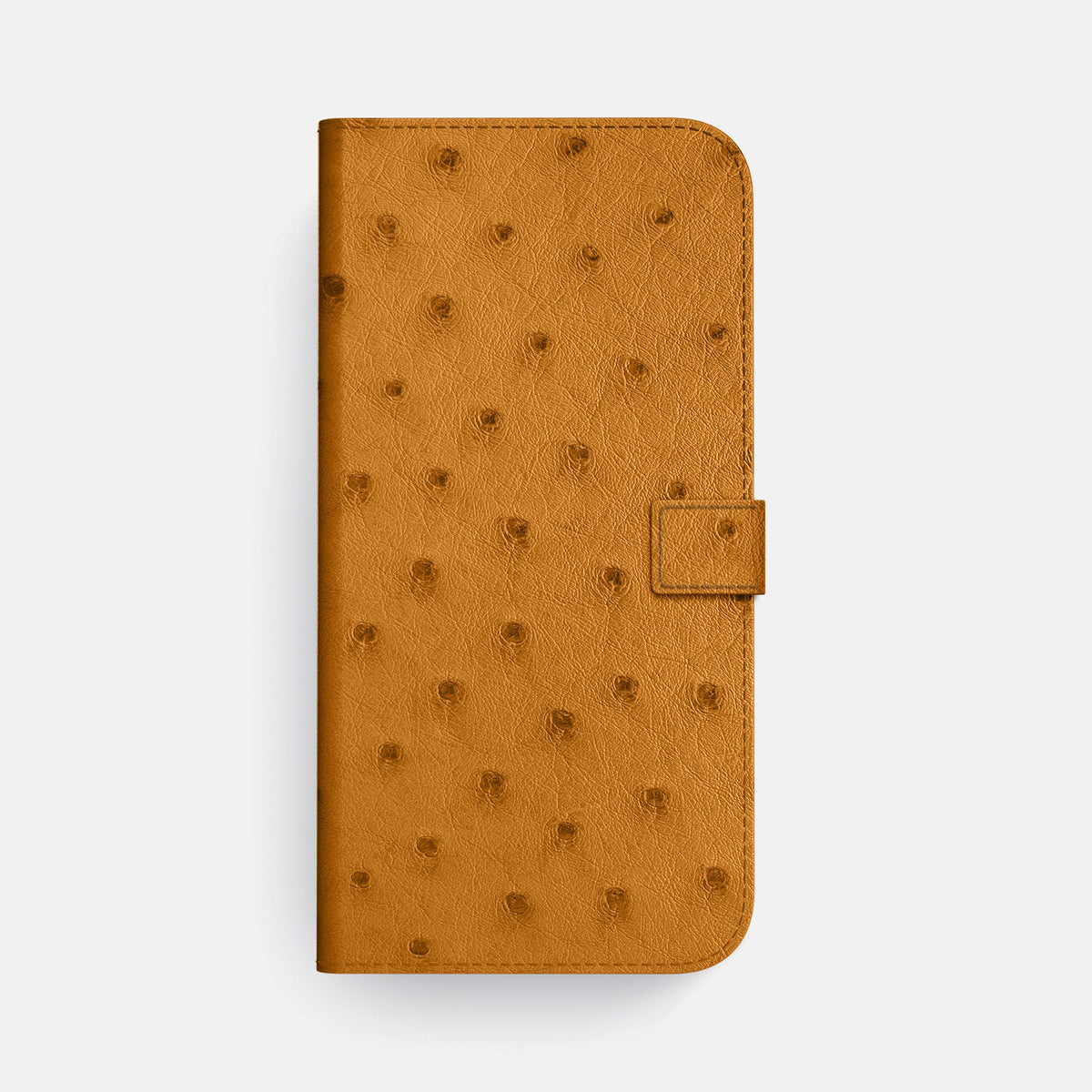 Folio Case with Clasp For iPhone 18 Pro Max In Ostrich -4 | Chestnut-Steel