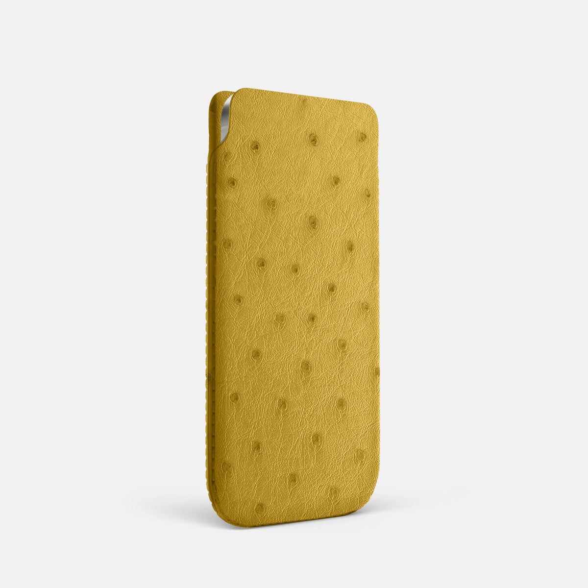 Pouch Case For iPhone 18 Pro In Ostrich -2 | Gold