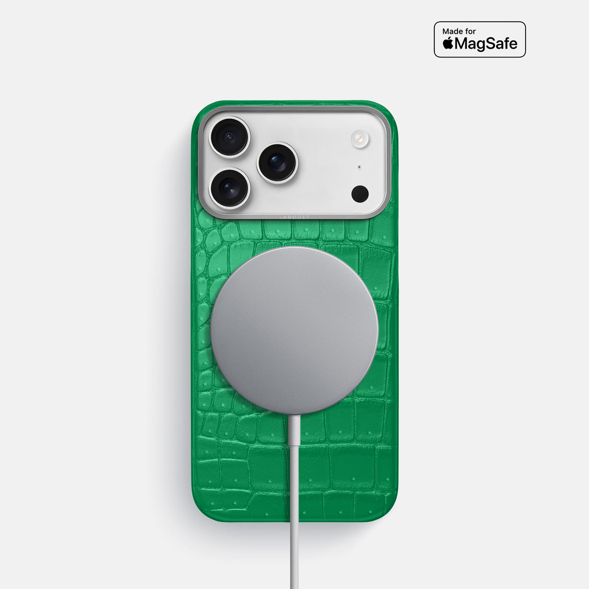 Classic Case For iPhone 17 Pro In Porosus Crocodile -5 | Cactus-Green-Steel