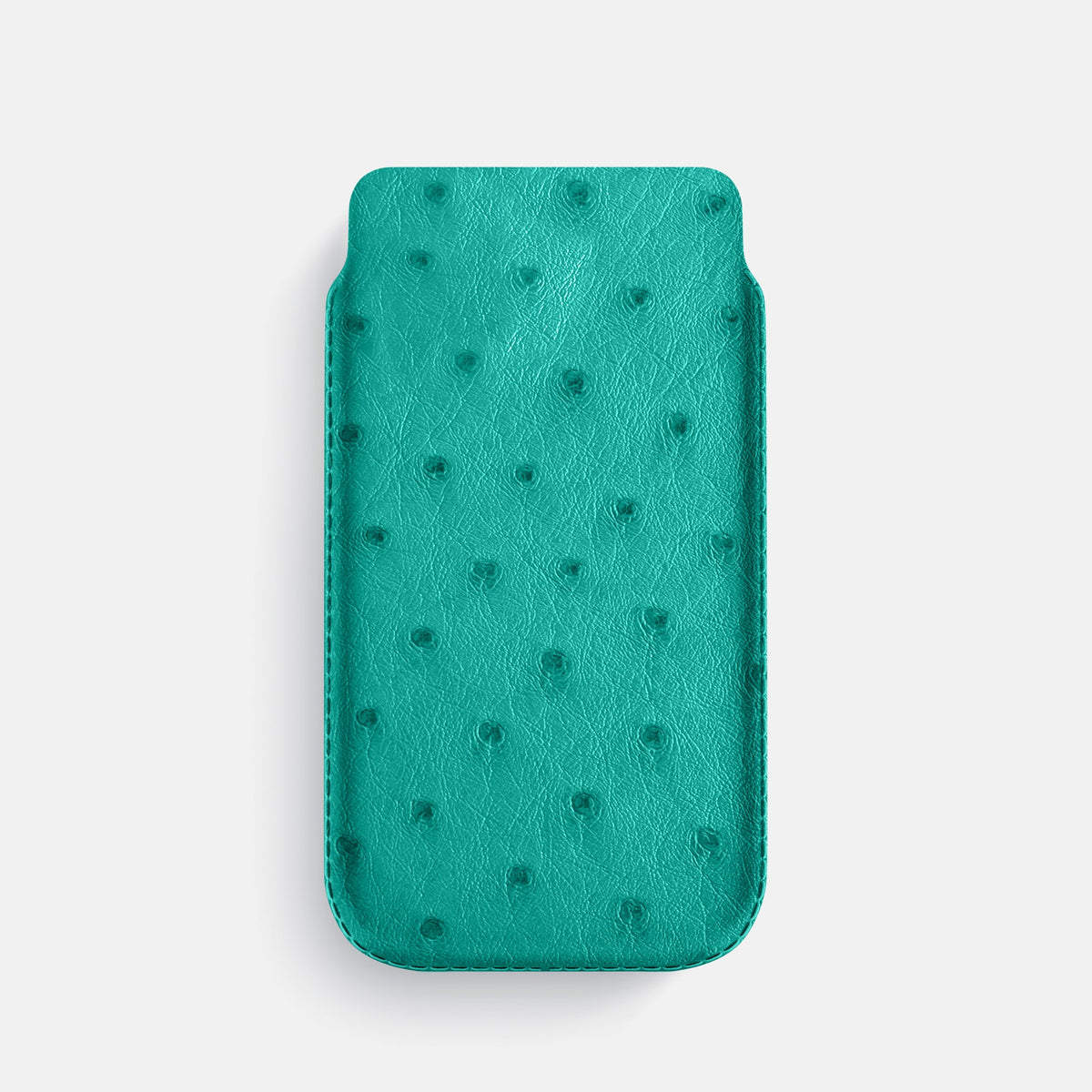 Pouch Case For iPhone 18 Pro In Ostrich -1 | Turquoise