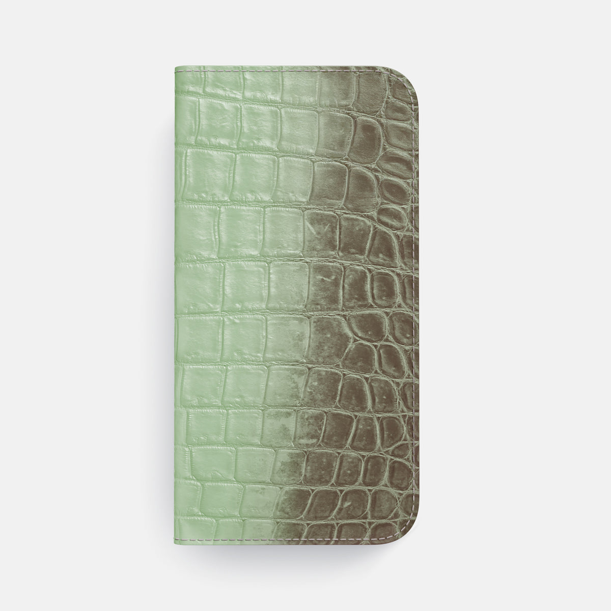 Folio Case For iPhone 17 Air In Himalayan Crocodile -4 | Pistachio-Steel