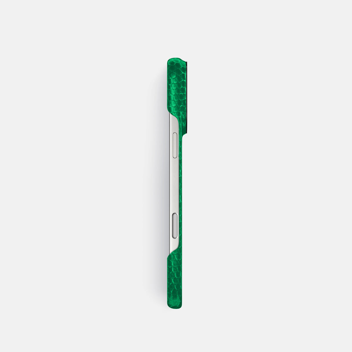 Classic Case For iPhone 17 Pro In Lizard -3 | Apple-Green-Black