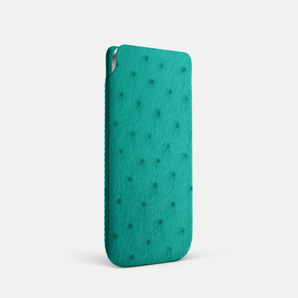 Pouch Case For iPhone 18 Pro In Ostrich -2 | Turquoise