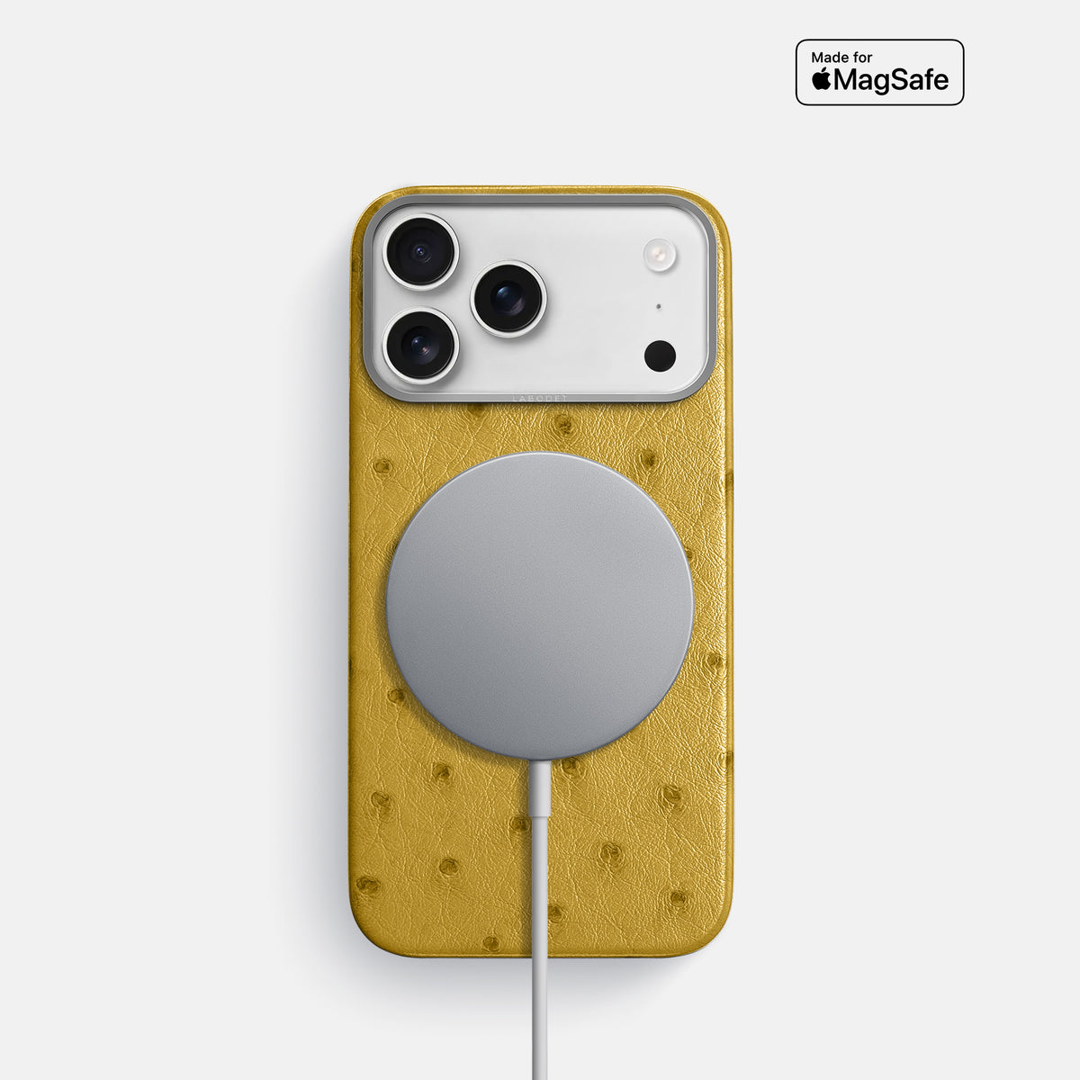 Classic Case For iPhone 17 Pro In Ostrich -5 | Gold-Steel