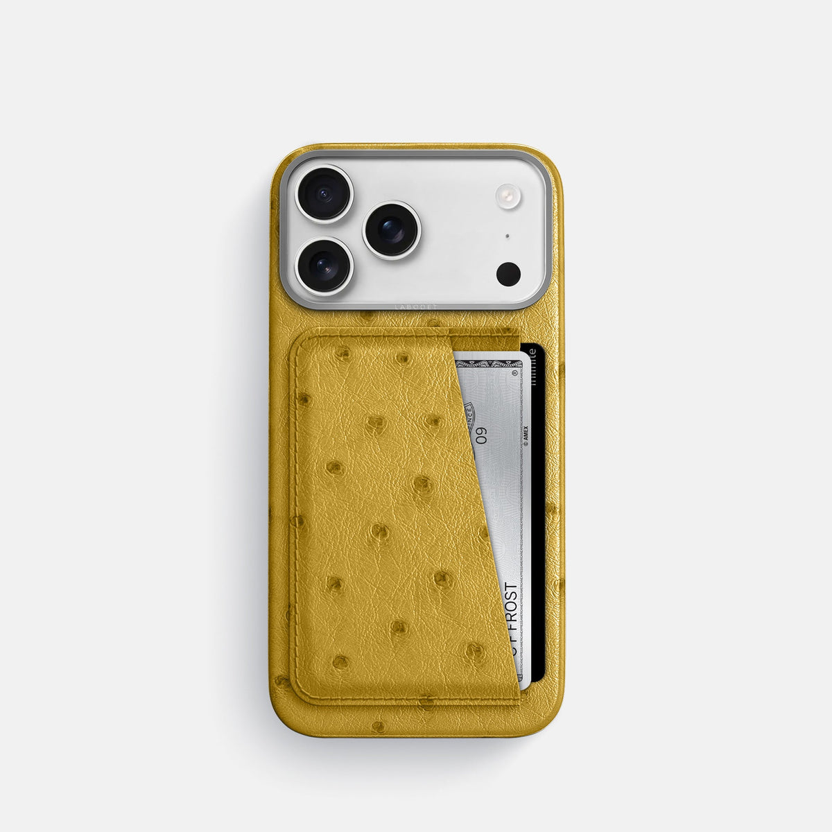 Double Card Case For iPhone 18 Pro In Ostrich -1 | Gold-Steel