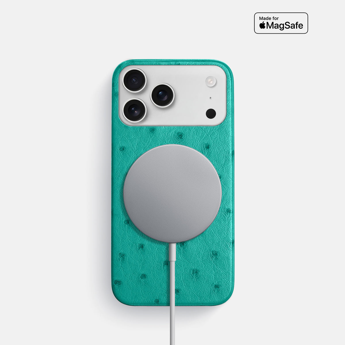 Slim Case For iPhone 17 Pro In Ostrich -5 | Turquoise