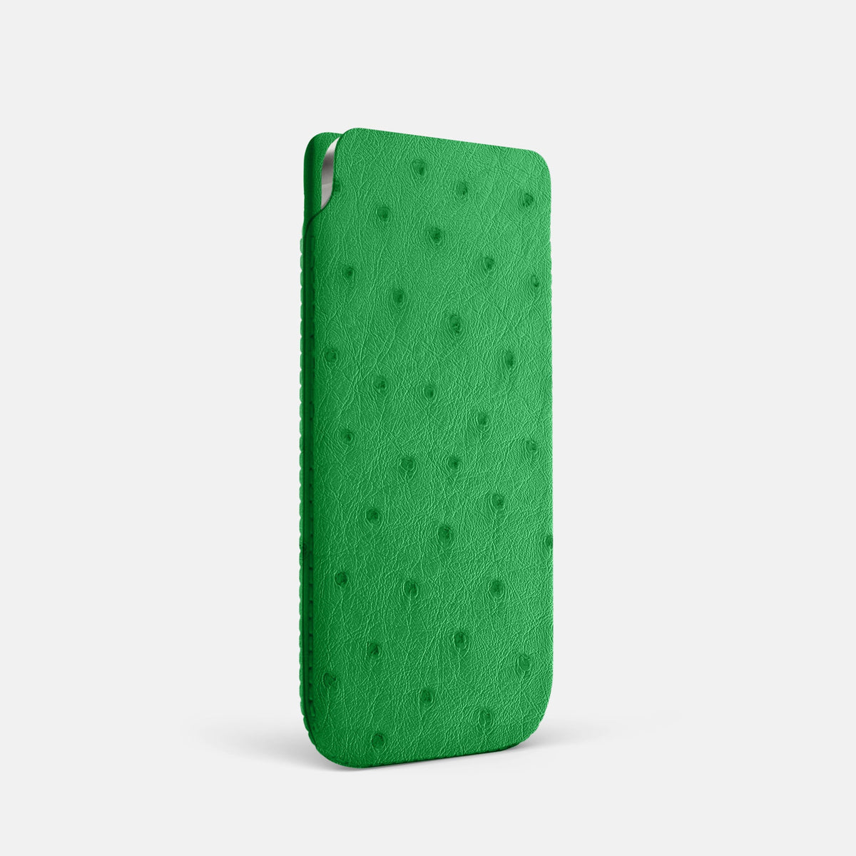 Pouch Case For iPhone 18 Pro In Ostrich -2 | Kentucky-Green