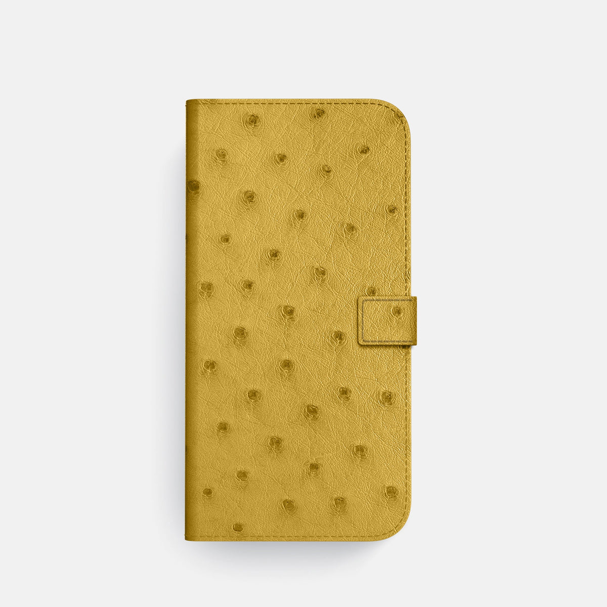 Folio Case with Clasp For iPhone 18 Pro In Ostrich -4 | Gold-Steel