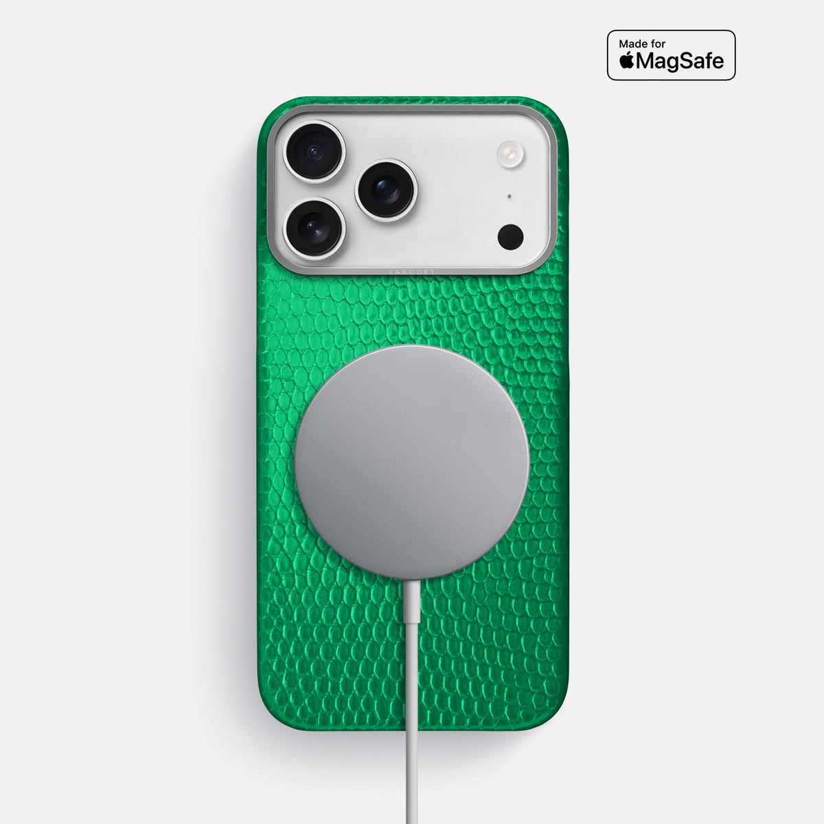 Classic Case For iPhone 18 Pro Max In Lizard -5 | Apple-Green-Steel