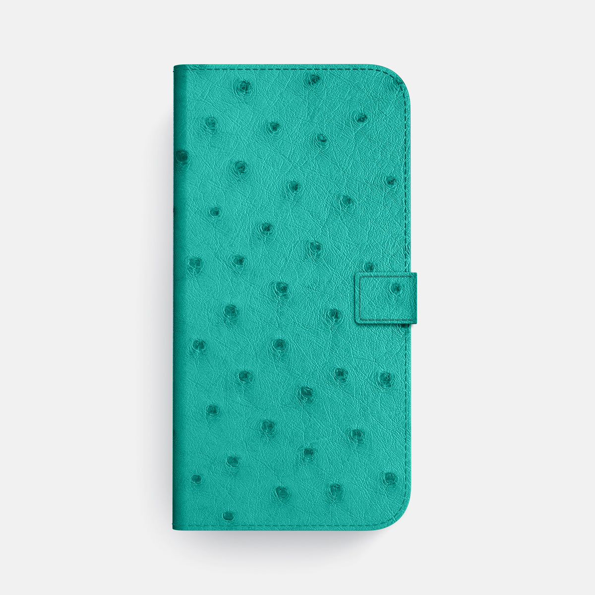 Folio Case with Clasp For iPhone 17 Pro Max In Ostrich -4 | Turquoise-Black