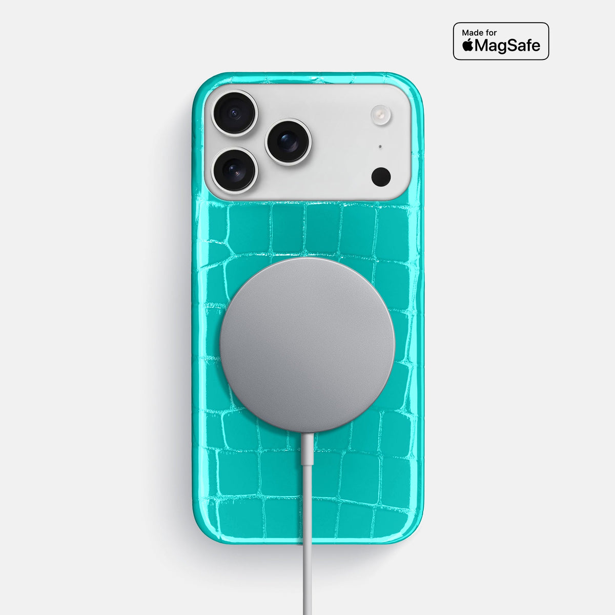 Slim Case For iPhone 18 Pro Max In Shiny Alligator -5 | Mint