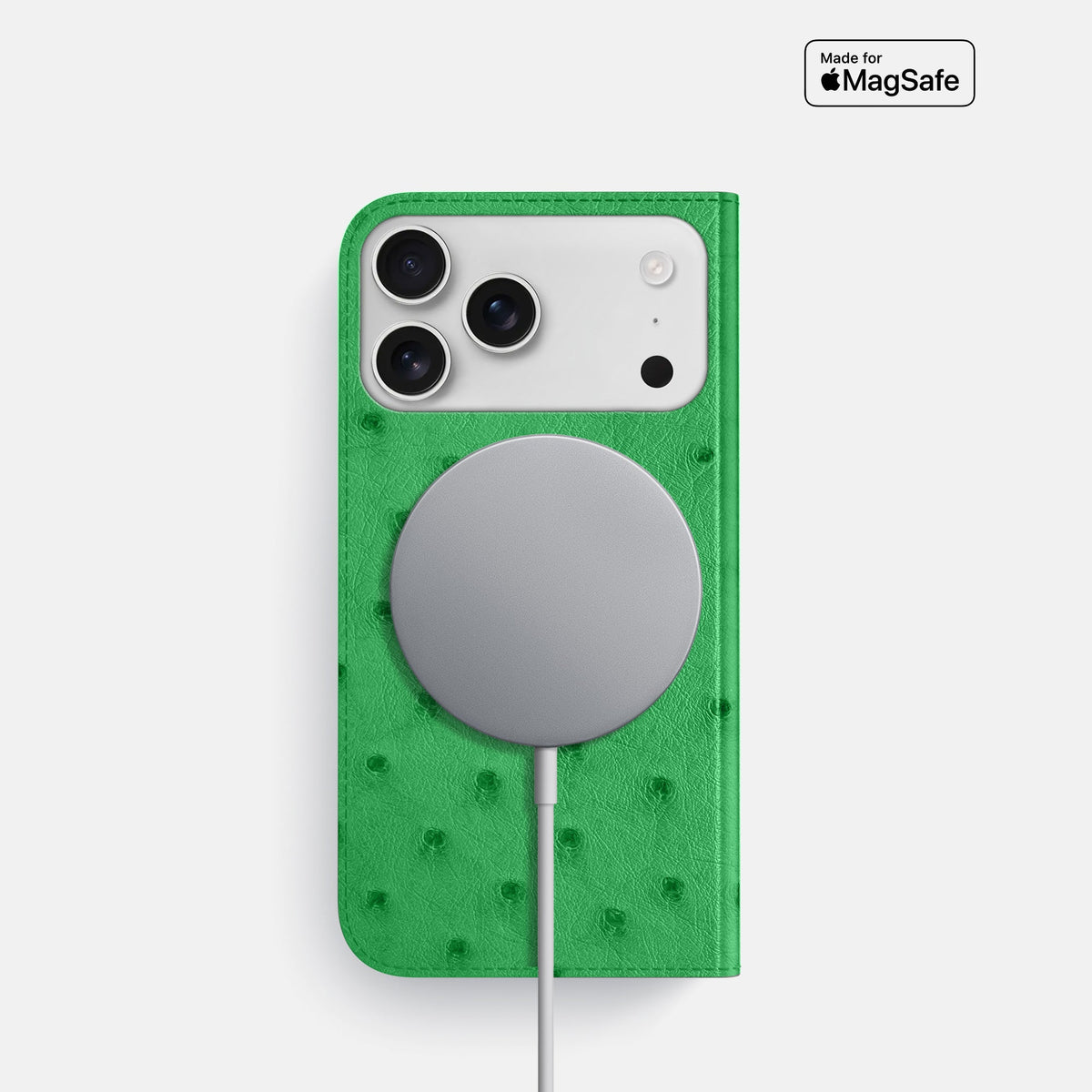 Folio Slim Case For iPhone 18 Pro In Ostrich -3 | Kentucky-Green