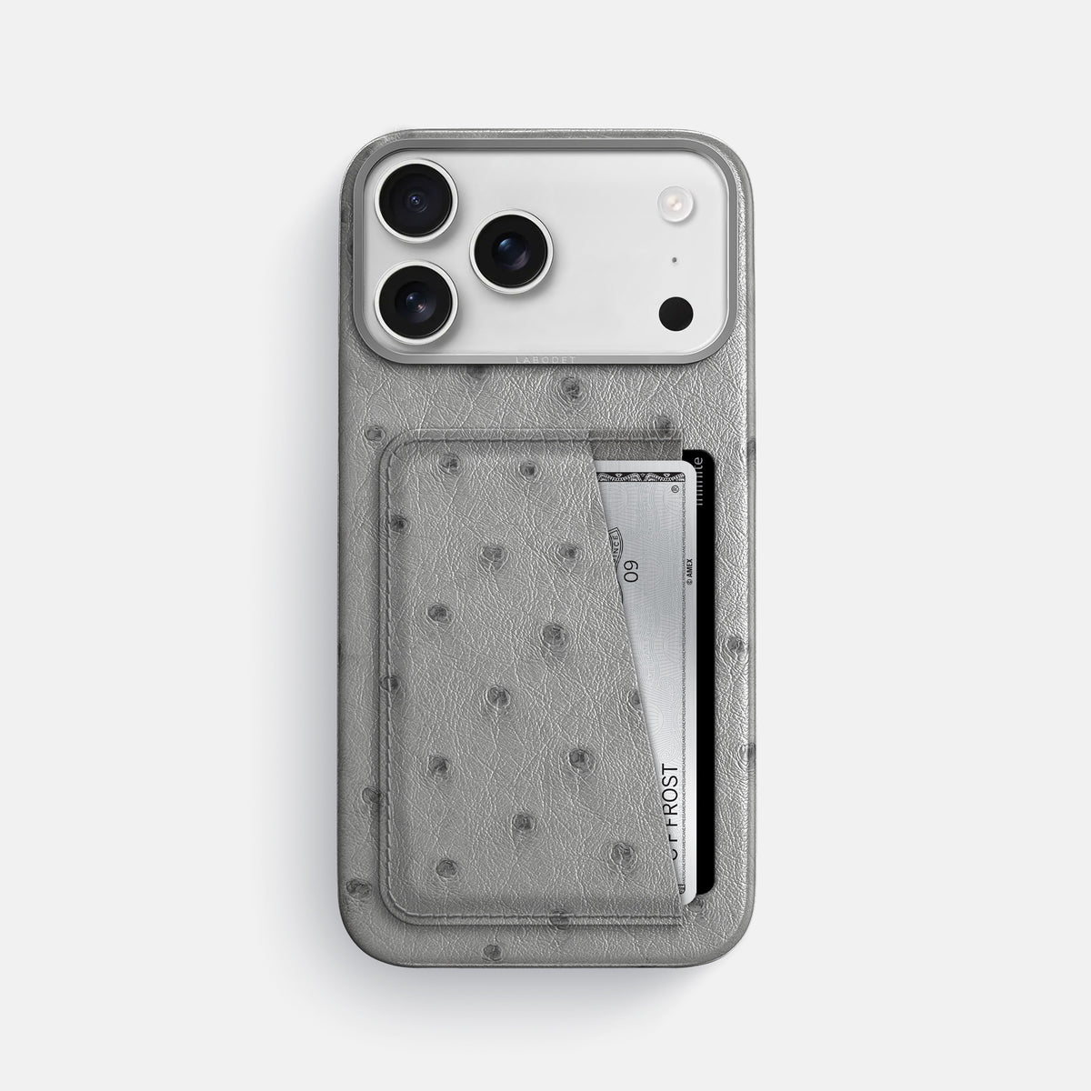 Double Card Case For iPhone 17 Pro Max In Ostrich -1 | Silver-Steel