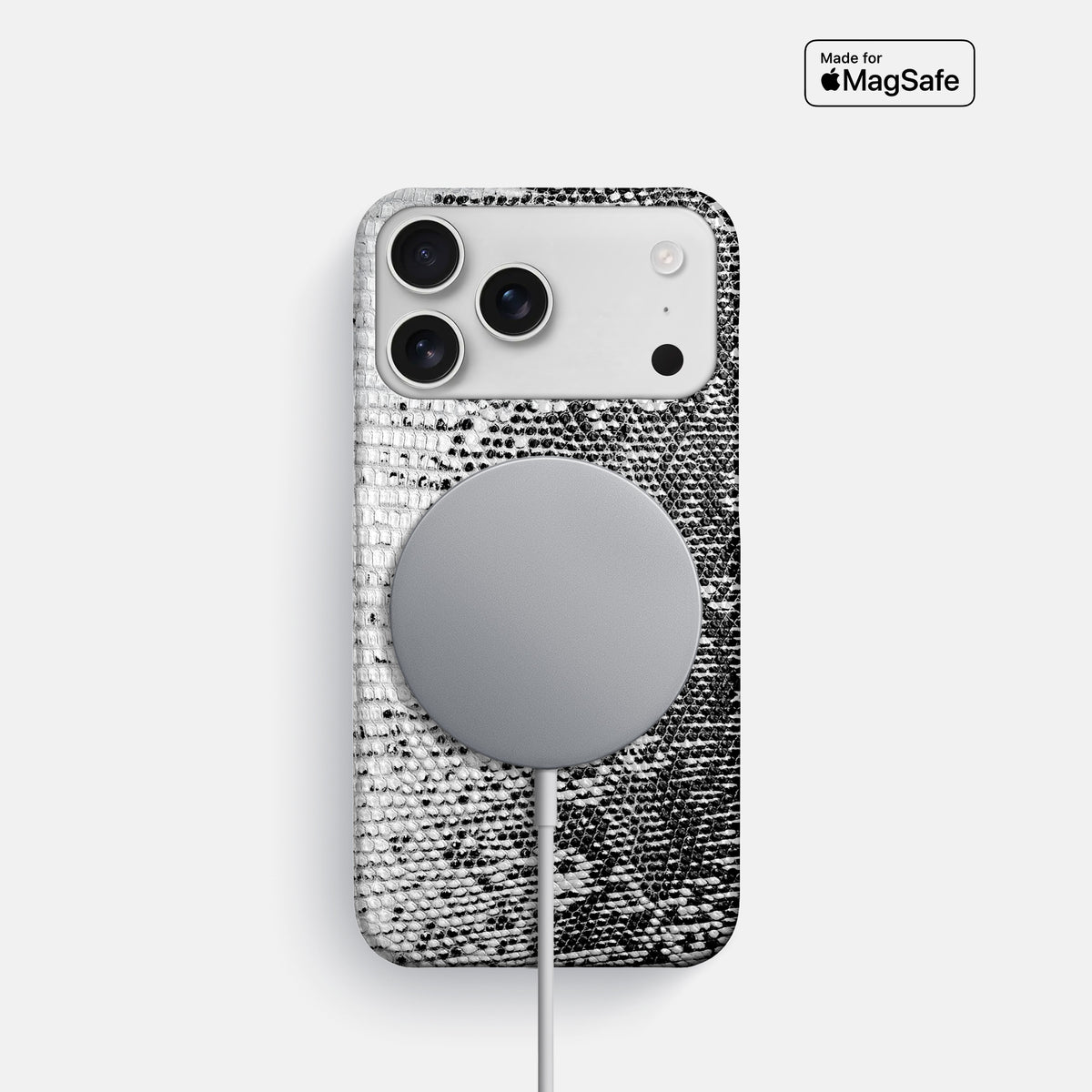 Slim Case For iPhone 17 Pro In Himalayan Lizard -5 | Dark
