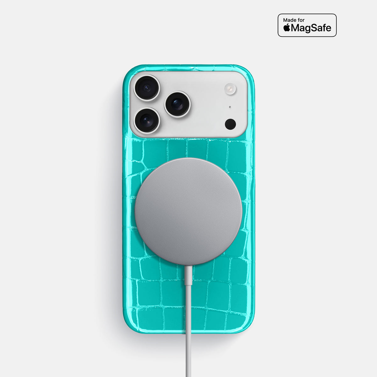 Slim Case For iPhone 17 Pro In Shiny Alligator -5 | Mint