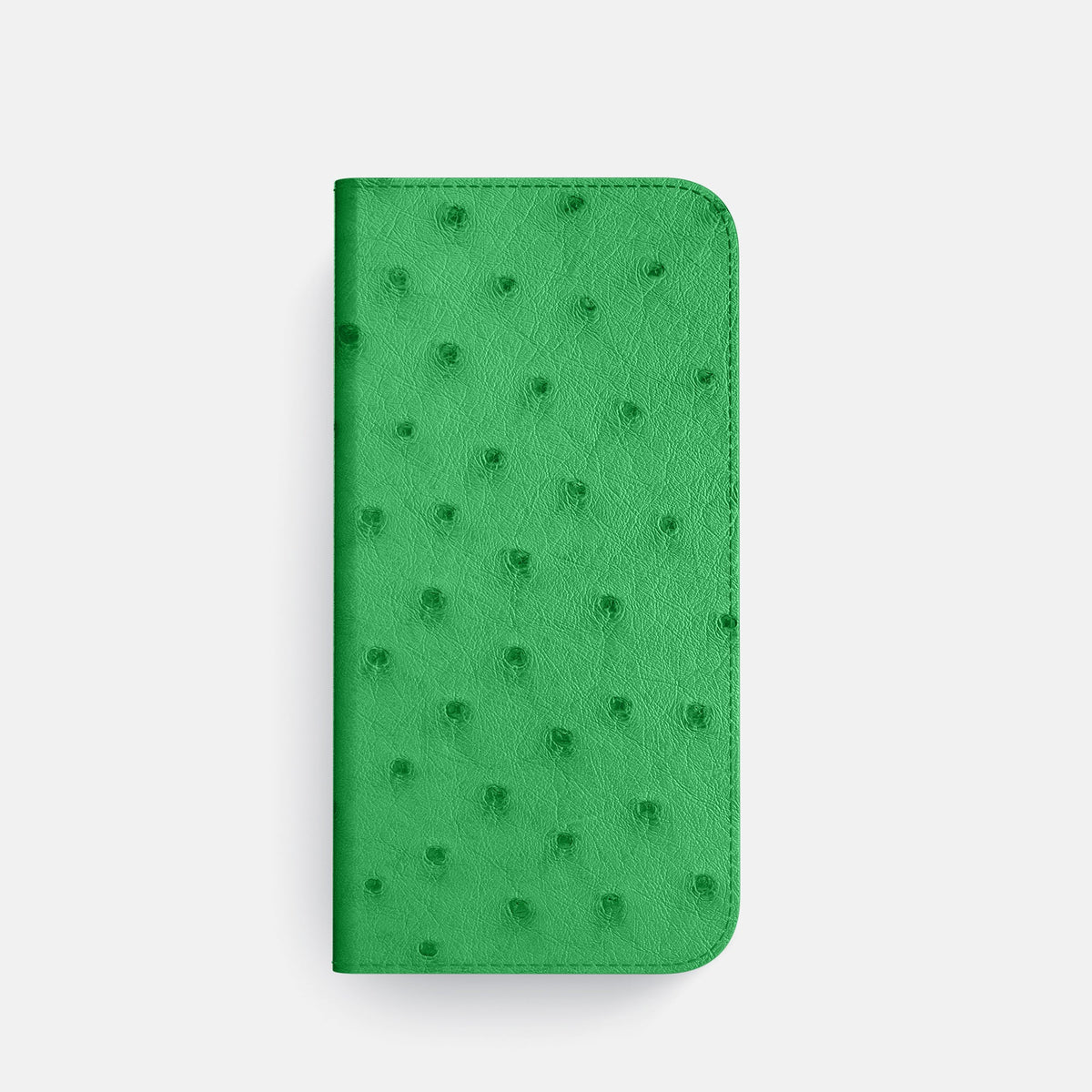 Folio Case with Card For iPhone 18 Pro In Ostrich -4 | Kentucky-Green-Steel