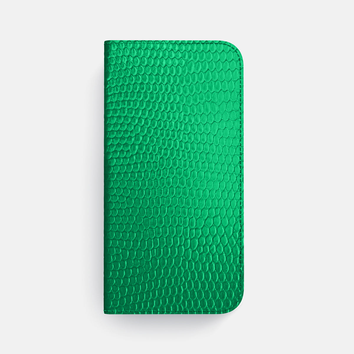 Folio Case For iPhone 17 Air In Lizard -4 | Apple-Green-Black