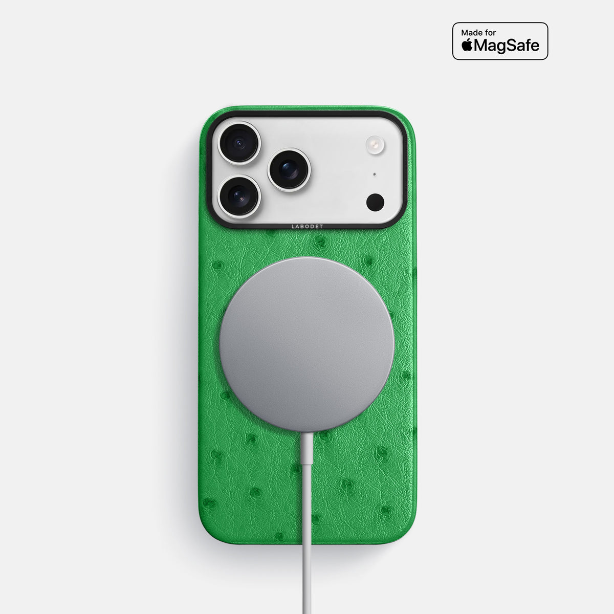 Classic Case For iPhone 17 Pro In Ostrich -5 | Kentucky-Green-Black