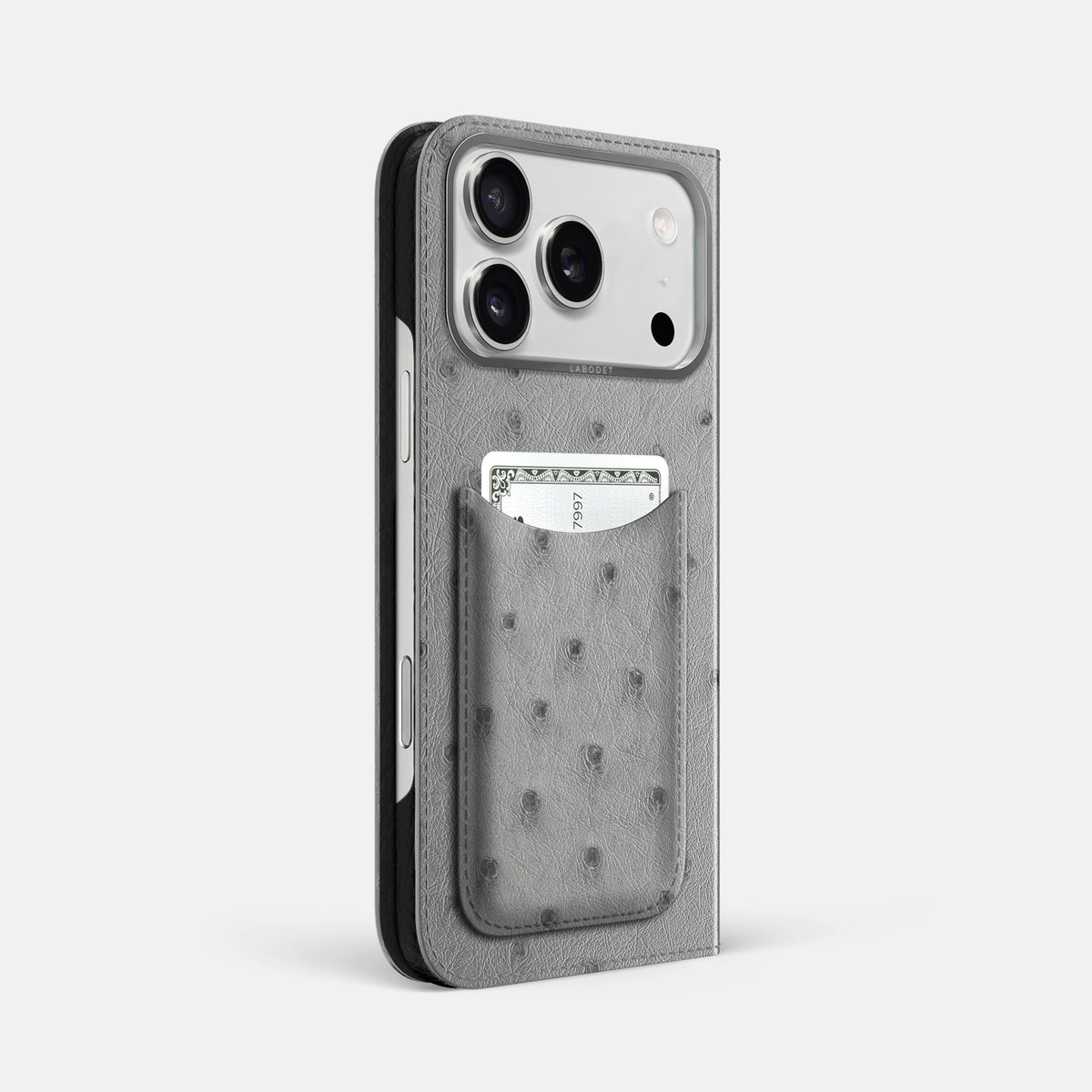 Folio Case with Card For iPhone 17 Pro Max In Ostrich -1 | Silver-Steel