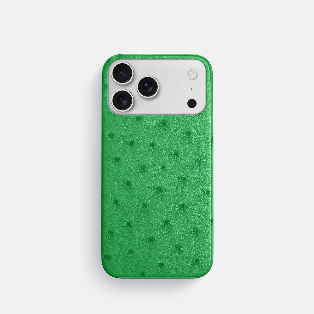 Slim Case For iPhone 17 Pro In Ostrich -1 | Kentucky-Green